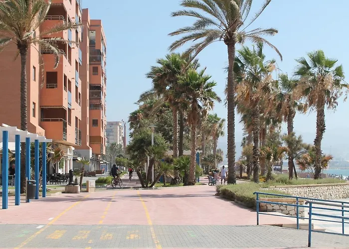 Pacifico 18 *