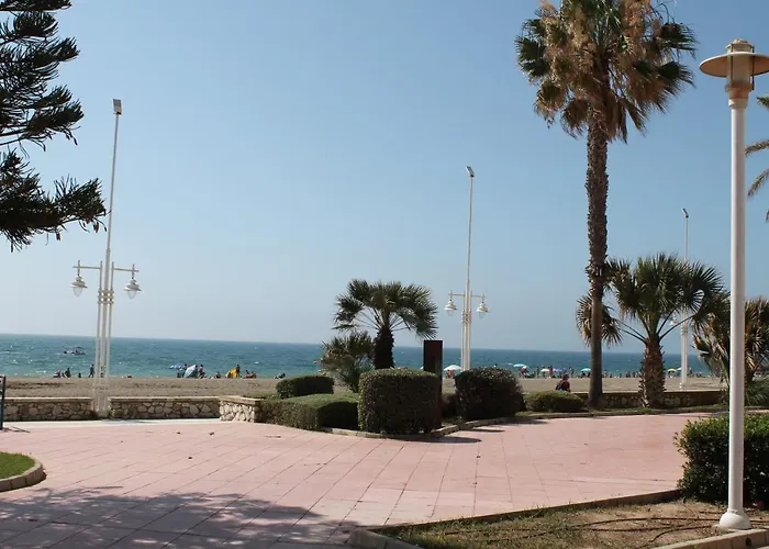 Pacifico 18 *