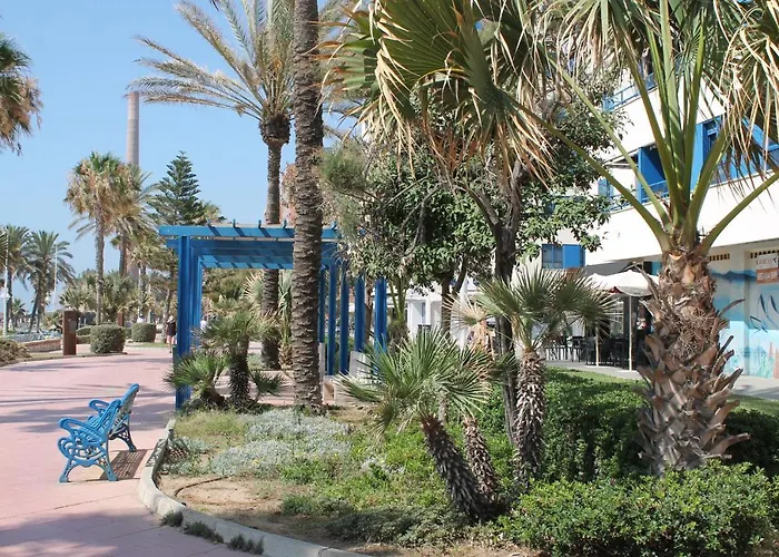Pacifico 18