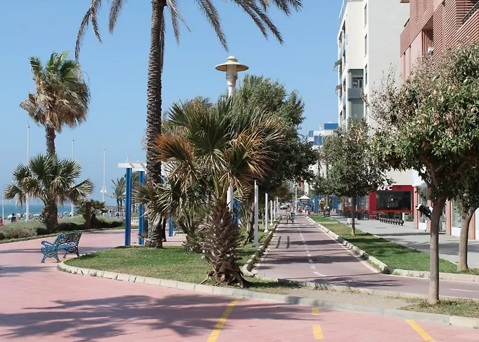 Pacifico 18 *