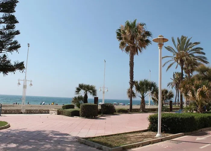 Pacifico 18 * Málaga